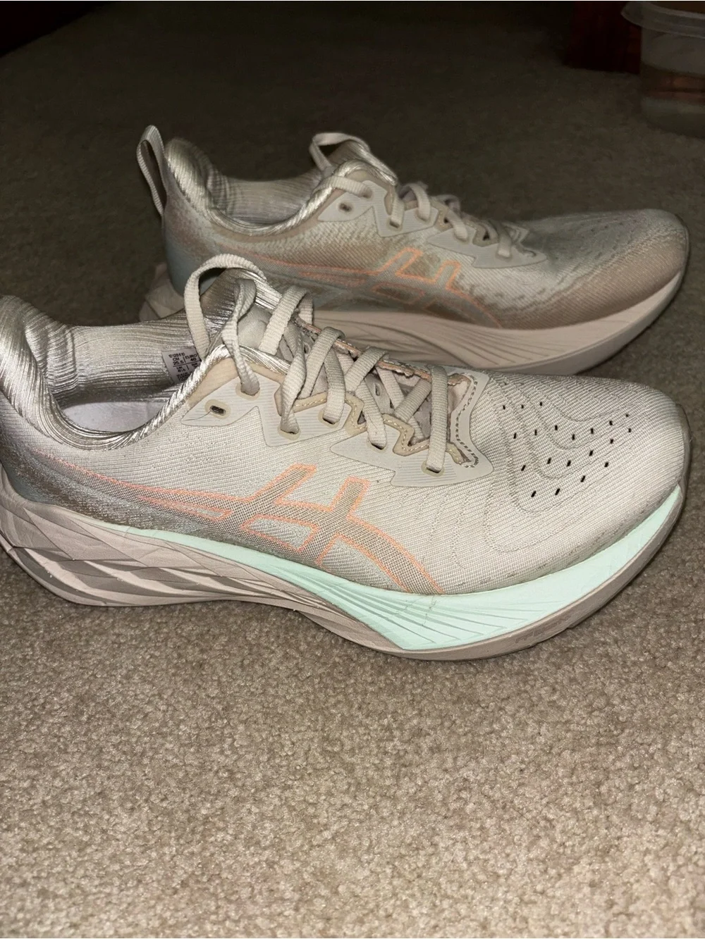 Asics Women's Novablast Size 8.5